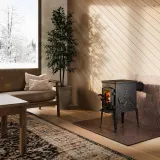 Чавунна піч Dovre 100CBS — фото 4